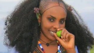 ወዛምዋ Halefom Baranto Raya Tigrigna Musicamazing new [upl. by Brighton]