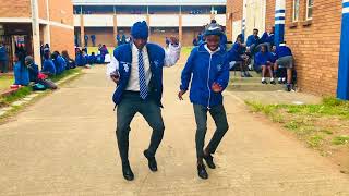 school kids killing amapiano dance❤️🔥 [upl. by Eanwahs]