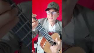 EL SOLAR DE MONIMBO FOLKLORE NICARAGÜENSE DE DON CAMILO ZAPATA guitarcover guitarramusica [upl. by Neelyhtak]