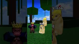 Help admin and roblox doge bloxfruits [upl. by Marlo]