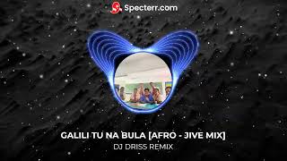 GALILI TU NA BULA AFRO  JIVE MIX DJ DRISS [upl. by Halik]