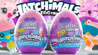 Hatchimals Colleggtibles Secret Surprise Diorama Series 1  H5Kids [upl. by Chantalle]