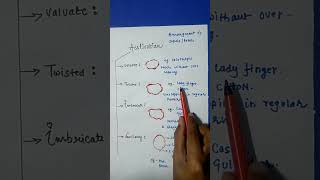 Types Of Aestivation Trick  Morphology Of Flowering Plant  Class 11 [upl. by Ellenig358]