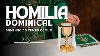 Homilia XXVII Domingo do Tempo Comum Ano B [upl. by Christis]