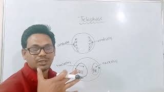 mitosisTelophase class 10 science chapter 2 life processes in living organismsTelophase [upl. by Sirovart]