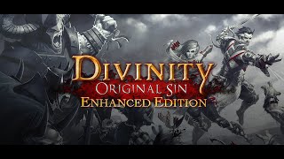 Divinity Original Sin Enhanced Edition Trailer [upl. by Ai632]