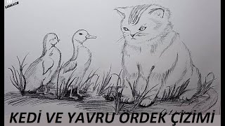 Hayvan Resmi Çizimleri  Karakalem Çizimi  Kedi ve yavru ördek [upl. by Keen]