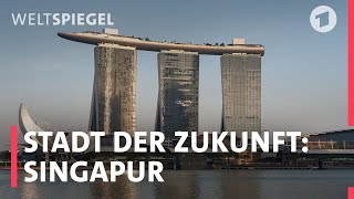 Singapur Zukunftsstadt in den Tropen  Weltspiegel Reportage [upl. by Mitchel]