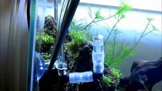 diy co2 diffuser and co2 reactor [upl. by Airod970]