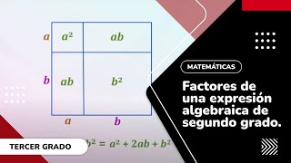 15 Factores de una expresión algebraica de segundo grado [upl. by Anatolio]