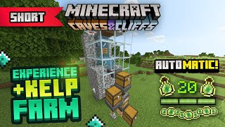 117 Zero Tick Kelp amp XP Farm Minecraft Bedrock  Unlimited XP amp Kelp Farm Design  shorts [upl. by Dun]