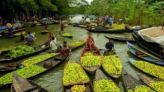 Barisal backwater and biggest floating market tripFloating Market Bangladesh [upl. by Nirej]