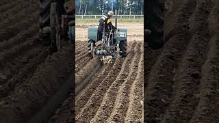 Fordson Model N at Southwell Ploughing Match Saturday 30th September 2023 [upl. by Drais163]