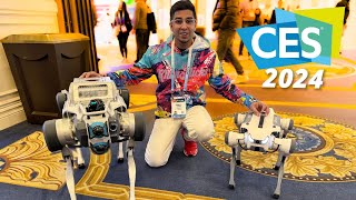 Walking my Robot Dogs at CES 2024  Khan amp Vector [upl. by Payson]