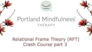 Relational Frame Theory RFT crash course pt 3 [upl. by Yeclek]