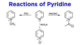 Heterocycles Part 2 Pyridine [upl. by Dorine501]