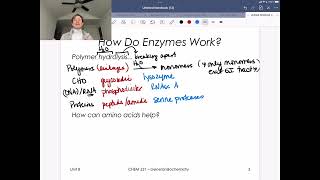 How Do Enzymes Work AA Chemistry [upl. by Lenahc105]