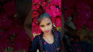 Han ji bilkul pyar karenge newsong song punjabisong punjabi music [upl. by Swanhilda]