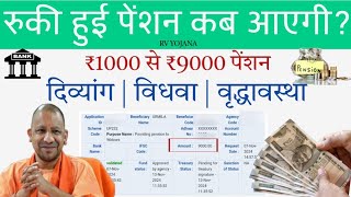 UP Pension News  Ruki Hui Pension Kab Aaegi  रुकी हुई पेंशन कब मिलेगी ₹1000₹9000 Pension Update [upl. by Quinn253]