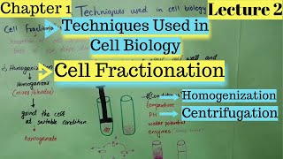 CELL FRACTIONATION  Homogenization  Centrifugation  Techniques Used in Cell Biology [upl. by Moriarty]