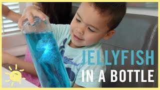 PLAY  Jellyfish in a Bottle [upl. by Auahsoj]