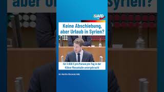 Keine Abschiebung aber Urlaub in Syrien afd ltnrw [upl. by Ecnarolf]