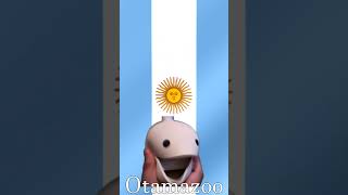 Himno Nacional Argentino 🇦🇷  Otamatone amp Kazoo Cover  National Anthem of Argentina [upl. by Wolf]