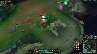 Abusing the Milio Ashe botlane enemy team went mental boom [upl. by Eilagam]