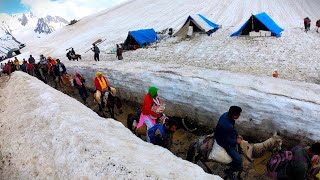 amarnath yatra 2024 latest update  amarnath yatra update today  amarnath yatra 2024 update [upl. by Gena]