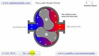 Roots Pump Two Lobe [upl. by Lahtnero]