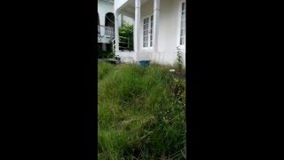 House for sale in Cedar Heights Vieux Fort St Lucia wwwRealtyStluciacom [upl. by Ddart]