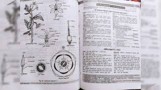 Bsc 2 year botany practical file topic😁😁 [upl. by Okkin275]