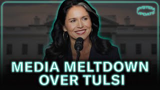 Media Melts Down Over Tulsi Gabbards Nomination [upl. by Llenil]