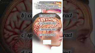 most important quiz 😊🤩 part 3 neuroanatomy shortsviral [upl. by Aytida]