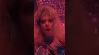 Yankee Rose Song by David Lee Roth [upl. by Buderus]