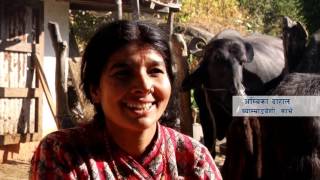 EcoVillage Development EVD Nepal Documentary [upl. by Jedediah]