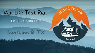 VanLife Test Run  Ep3  Squirrels [upl. by Rheba]