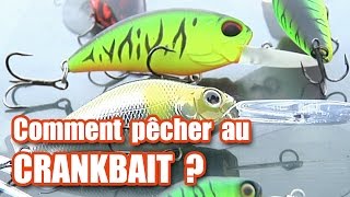 Comment pêcher au CRANKBAIT  brochet perche sandre [upl. by Lesiram]