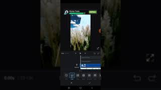 Vn app se sky change video kaise banaye how to sky change for vn app amp subscribe my channel 👉👍👍👌 [upl. by Faludi]