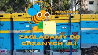 Sprawdzamy ule Zaglądamy do grzanych uli [upl. by Ennoitna]