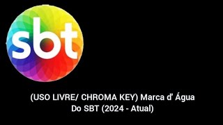 USO LIVRE CHROMA KEY Marca d Água Do SBT 2024  Atual [upl. by Eilsil]