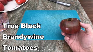 True Black Brandywine Tomatoes [upl. by Anegue]