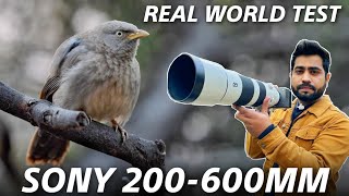 Sony 200600MM F5663 Lens Real Word Review  आपके Camera Kit में यह Lens होना चाहिए 💥 [upl. by Josiah878]