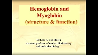 Hemoglobin and Myoglobin structure amp function [upl. by Niwde]