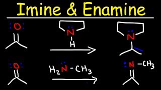 Imine and Enamine Formation Reactions With Reductive Amination [upl. by Tillfourd]