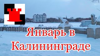 Январская погода в Калининграде 16 января 2024 года Верхнее озеро [upl. by Salot]