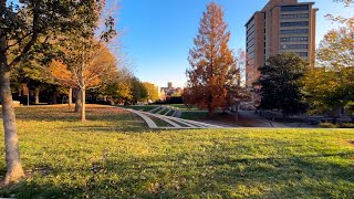 Papier Stationery Advent Calendar  Day 2  Vlogging on Campus [upl. by Eruza]