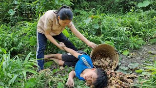 Orphan boy and Mute girl Harvest the ginger garden the market to sell amp Cooking l Life orphan [upl. by Wistrup]