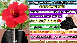 ഇതൊന്നു മതി ഒറ്റയുസിൽ മുടി വേരോടെ കറുപ്പിക്കാം കെമിക്കലുകൾ ഇല്ലാതെnatural haircare [upl. by Lladnek]