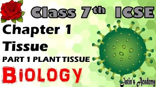 Chapter 1 Tissue part 1 plant tissue class 7th ICSE biology jatinacademy [upl. by Ardnasal411]